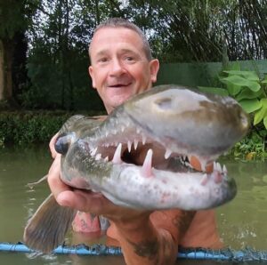 Big Teeth Fish in Thailand